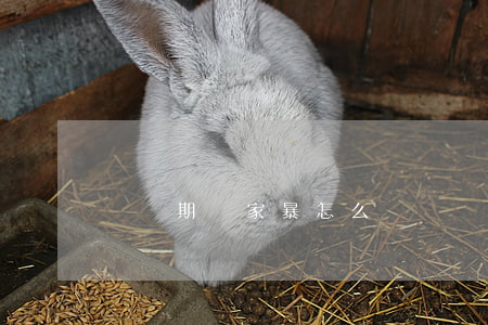 戀愛期間家暴怎么辦？